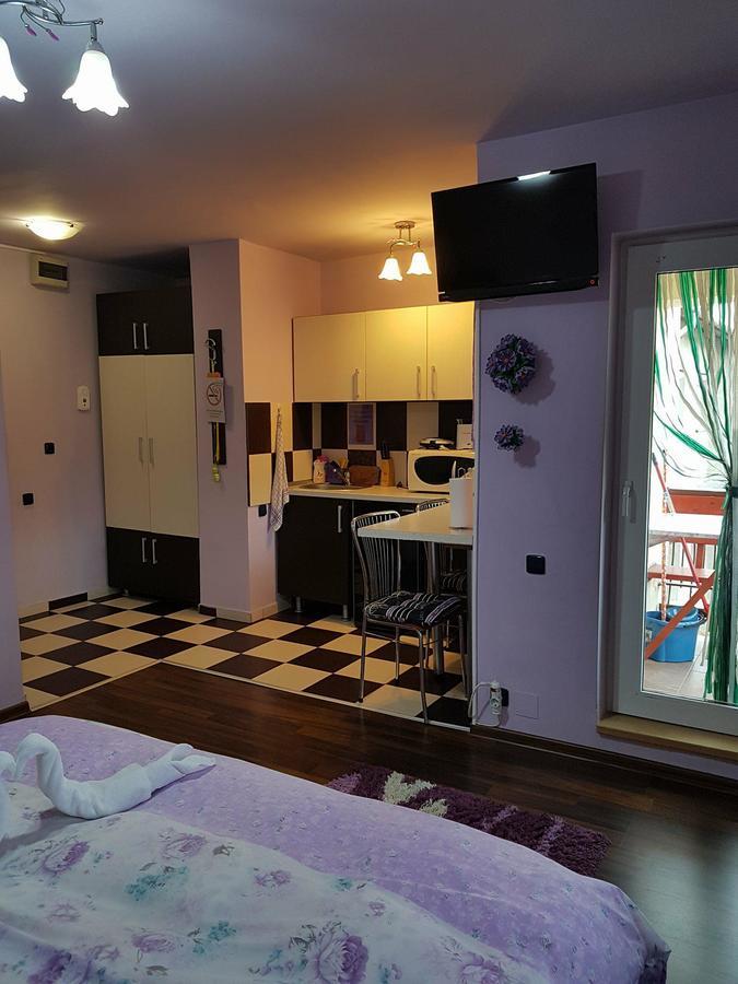 Garsoniera Cristina Băile Felix Exterior foto