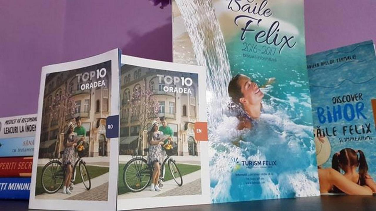 Garsoniera Cristina Băile Felix Exterior foto